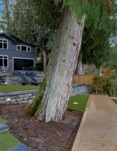 A modern two-story house with large windows overlooks a wooden dock and pathway by a lake, surrounded by tall trees and landscaped steps.